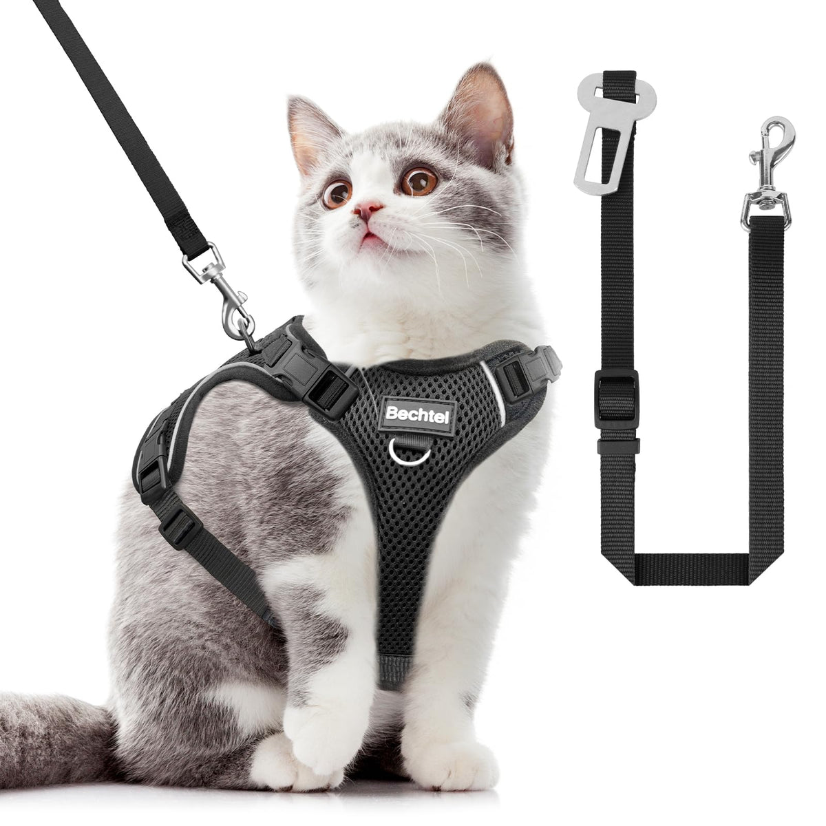 BECHTEL cat harness four-buckle adjustment for secure fit during walks