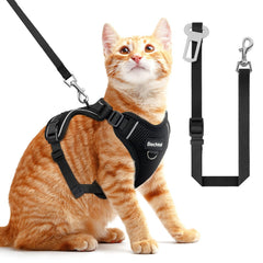 BECHTEL cat harness with four buckles for secure, adjustable fit during outdoor walking.