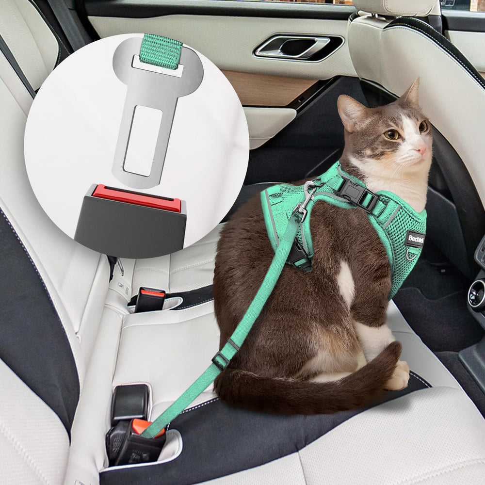 Bechtel cat harness four-buckle design for secure, adjustable fit