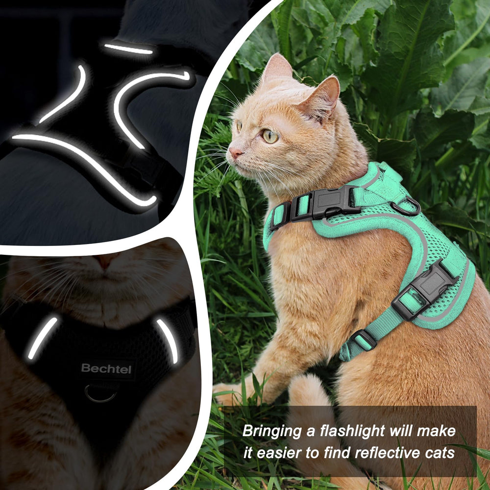 Bechtel cat harness reflective strips in green for visibility