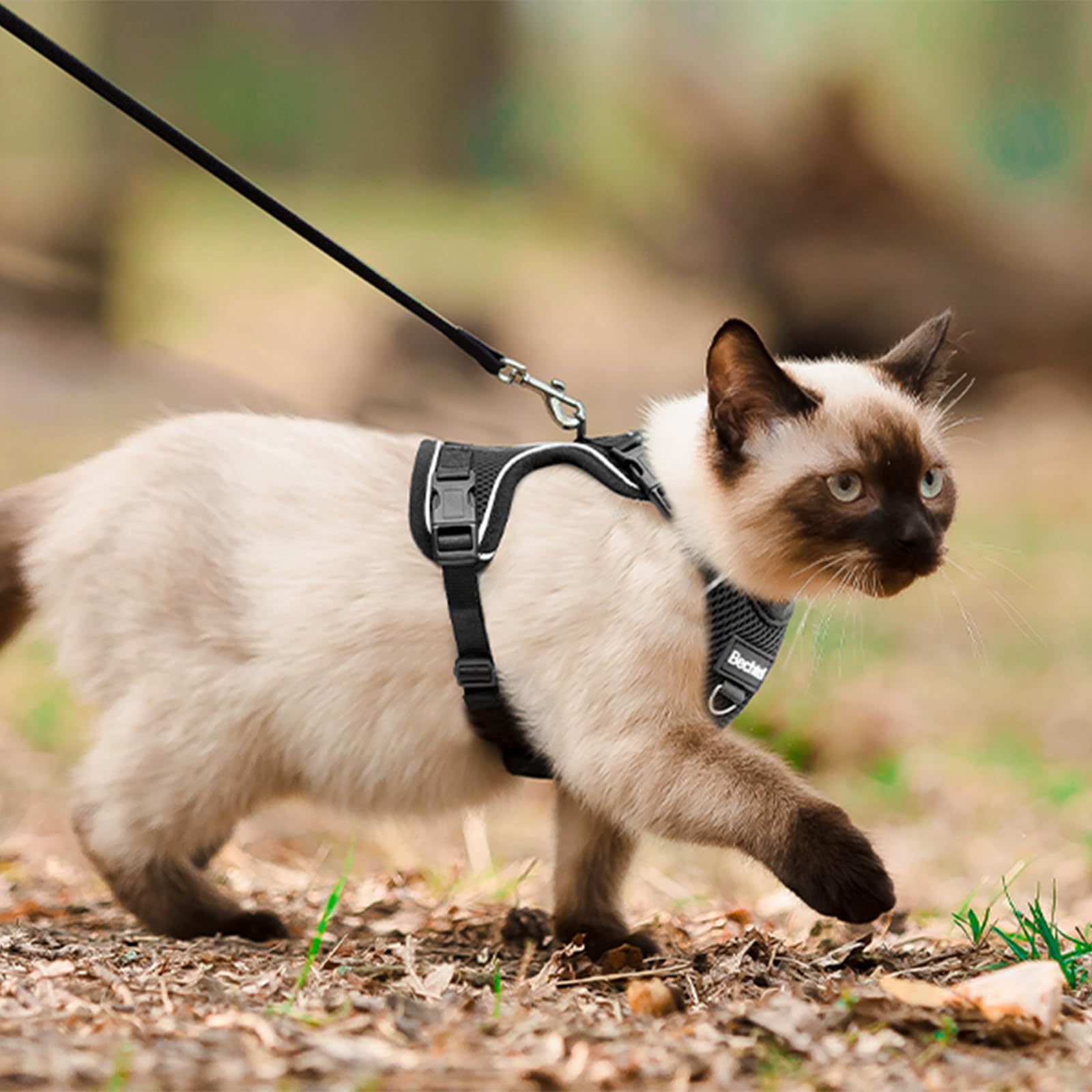 BECHTEL cat harness features reflective strips for visibility in low light