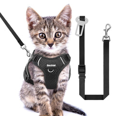 BECHTEL kitten harness breathable mesh shows cooling comfort for outdoor walks