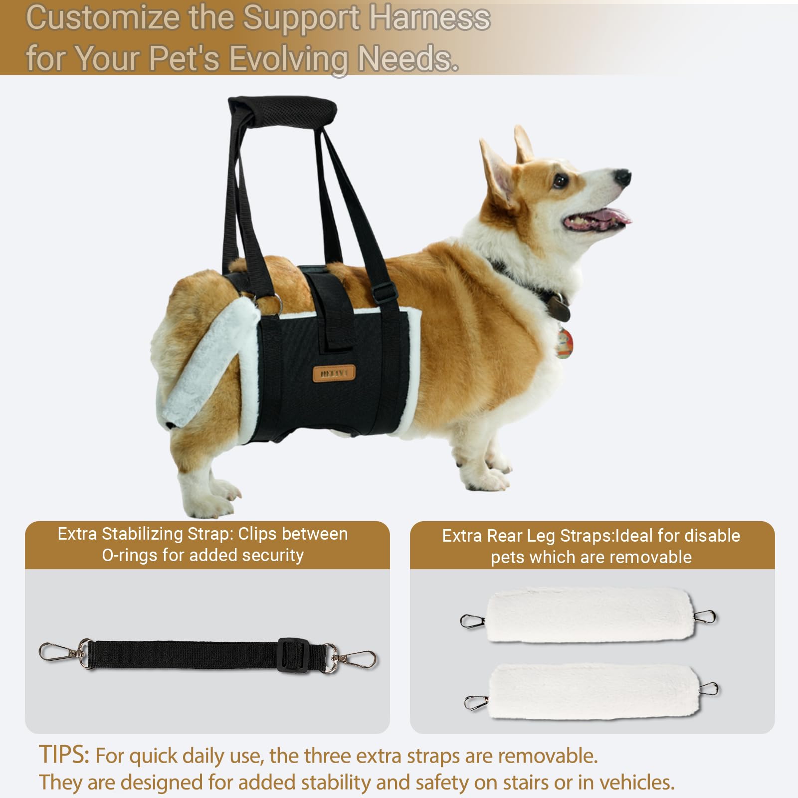 Becivi Dog Lift Harness adjustable straps for versatile fitting
