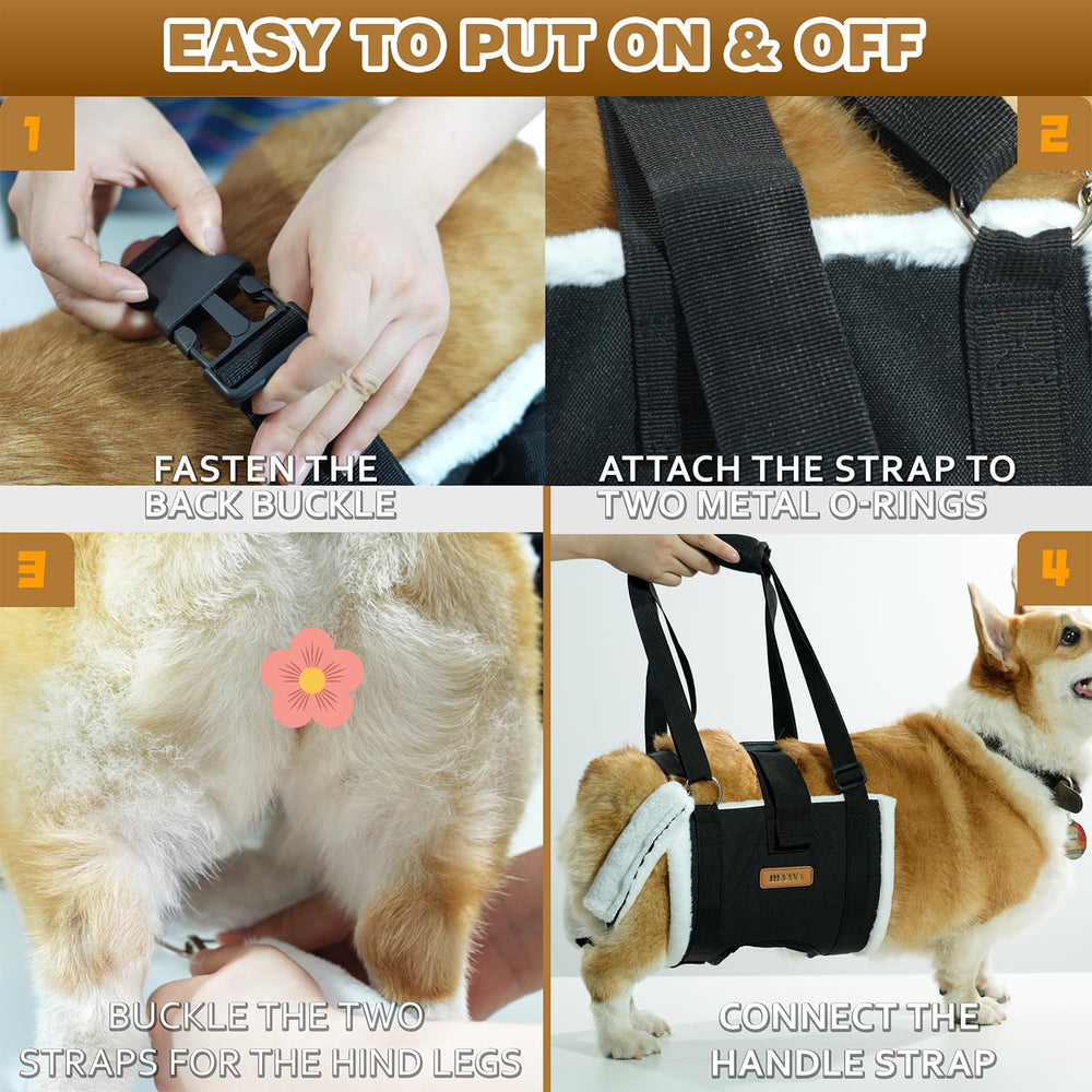 Becivi Dog Lift Harness in car ride setup supports secure transport
