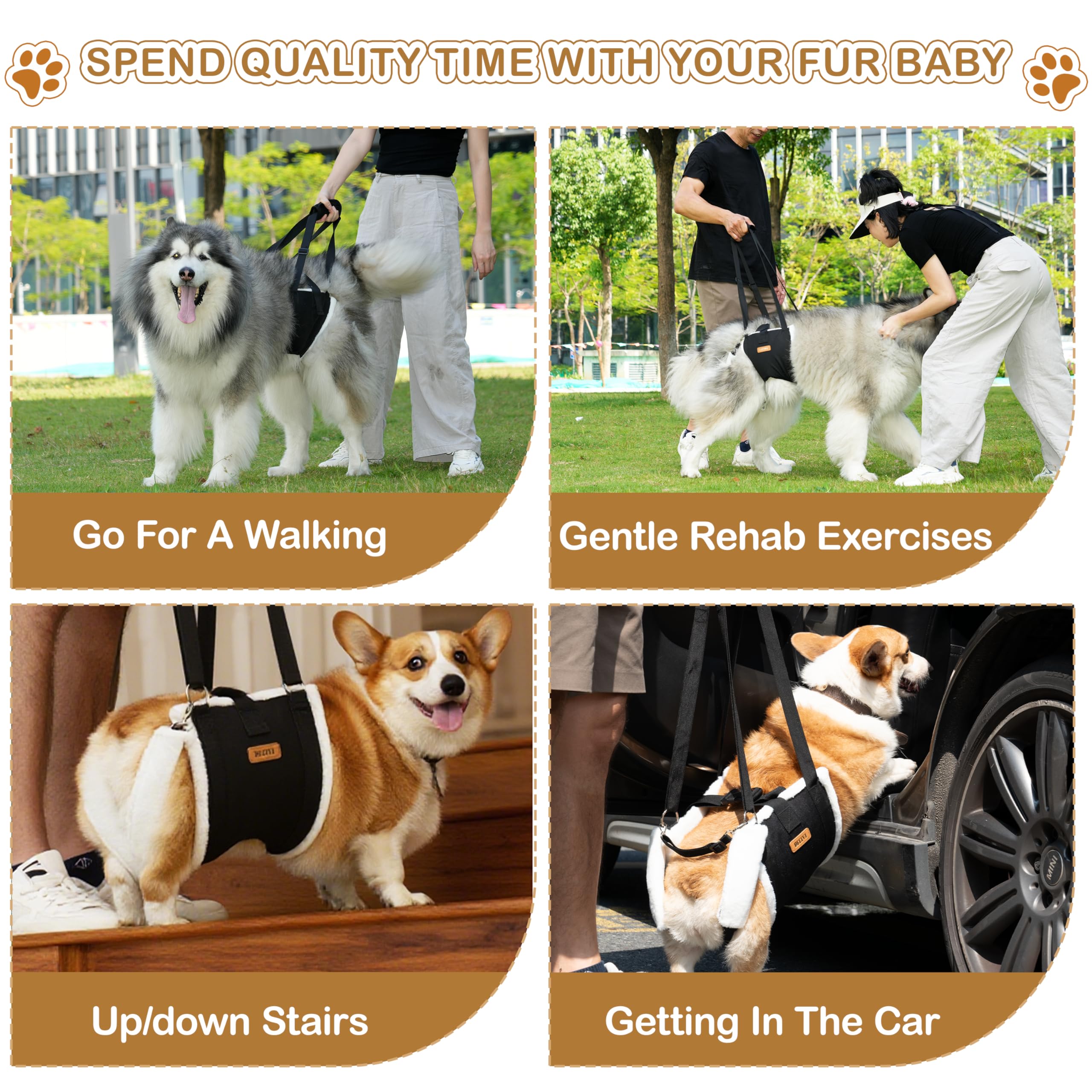 Becivi Dog Lift Harness post-surgery support aids gradual mobility