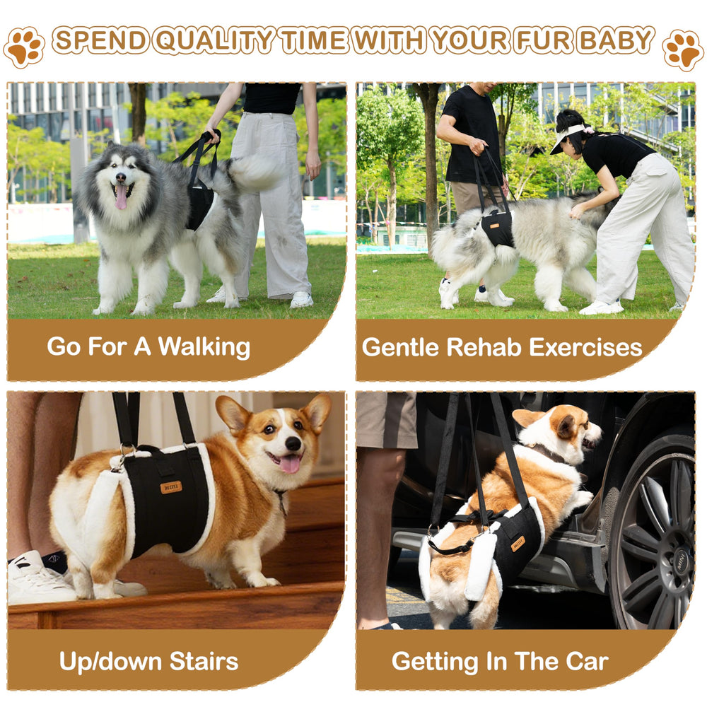 Becivi Dog Lift Harness post-surgery support aids gradual mobility