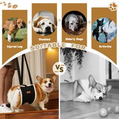 Becivi Dog Lift Harness rear leg cuffs reducing chafing during rehab