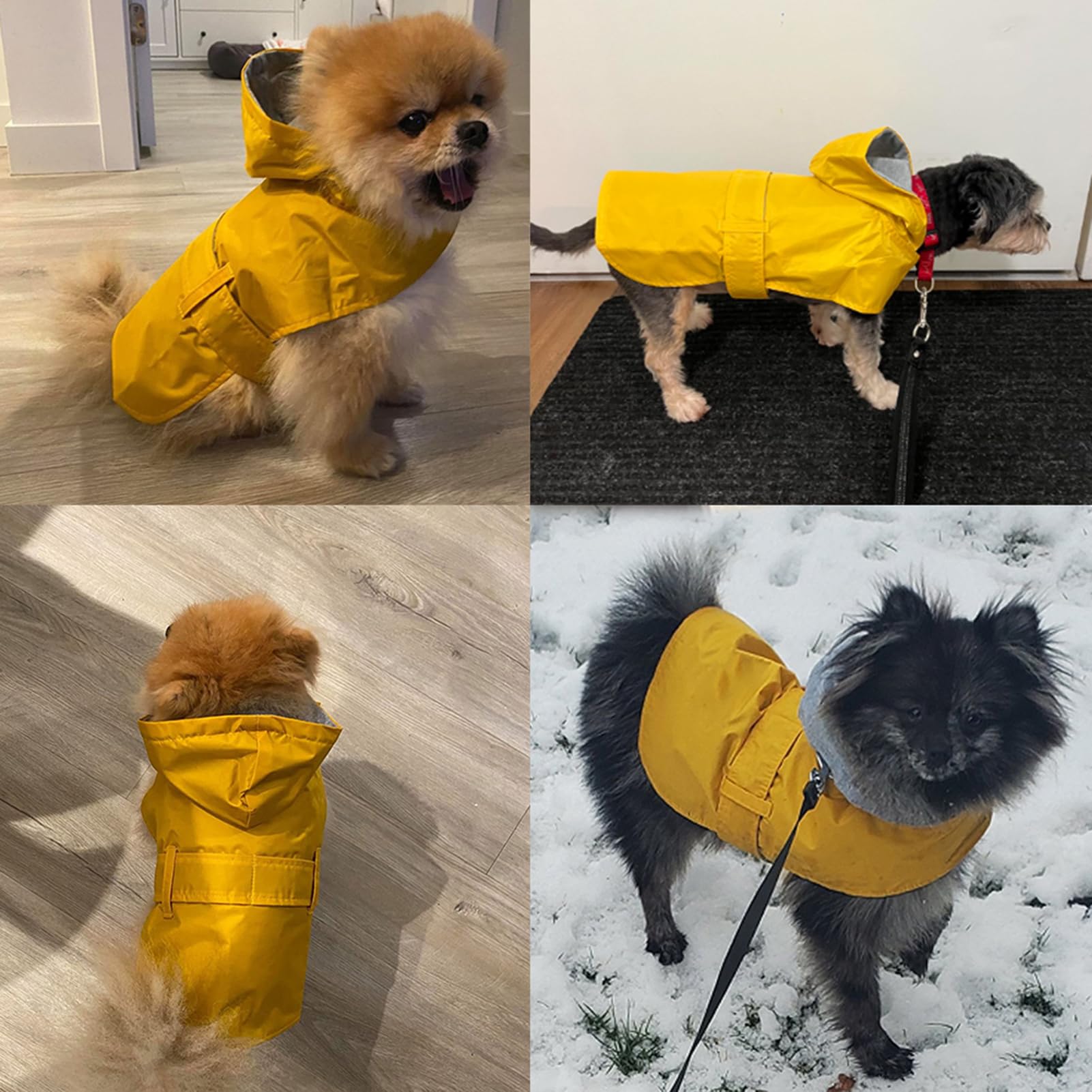 BECNBEAU dog raincoat lightweight design supports agile outdoor play.