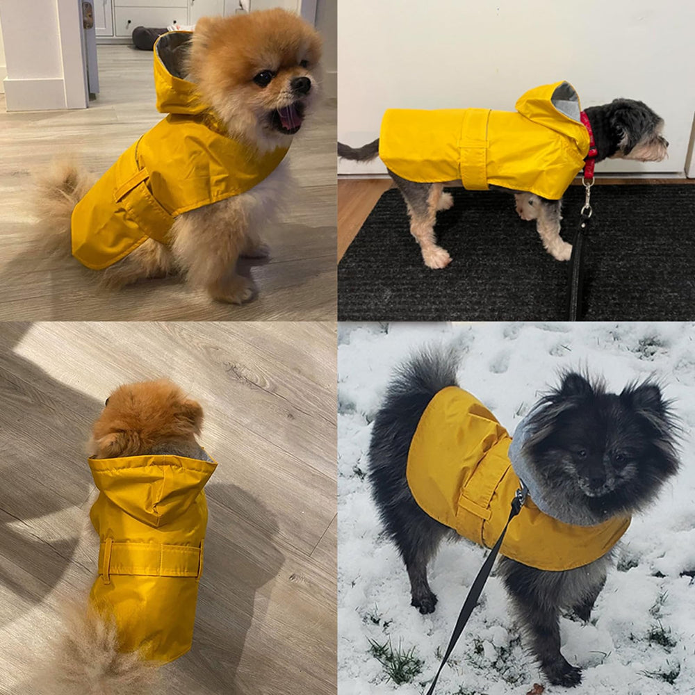 BECNBEAU dog raincoat lightweight design supports agile outdoor play.