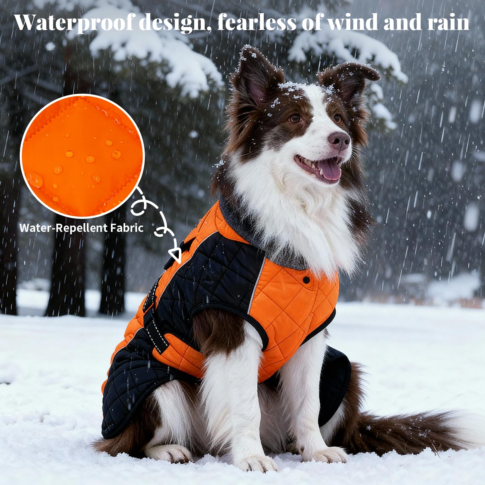 BECROWM dog coat adjustable-latches fits diverse shapes with secure closures