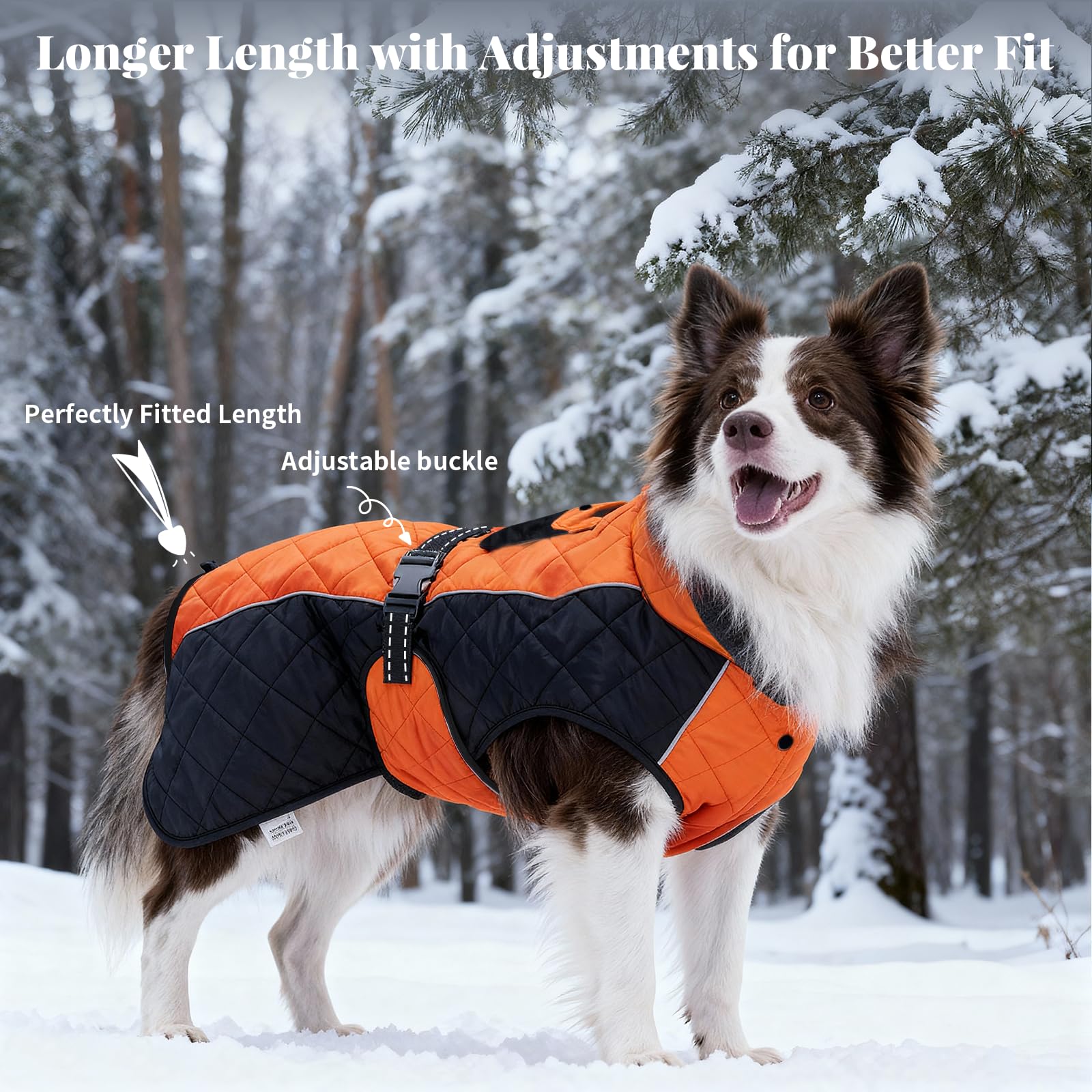 BECROWM dog coat no-slip-shoulder stays in place during active play