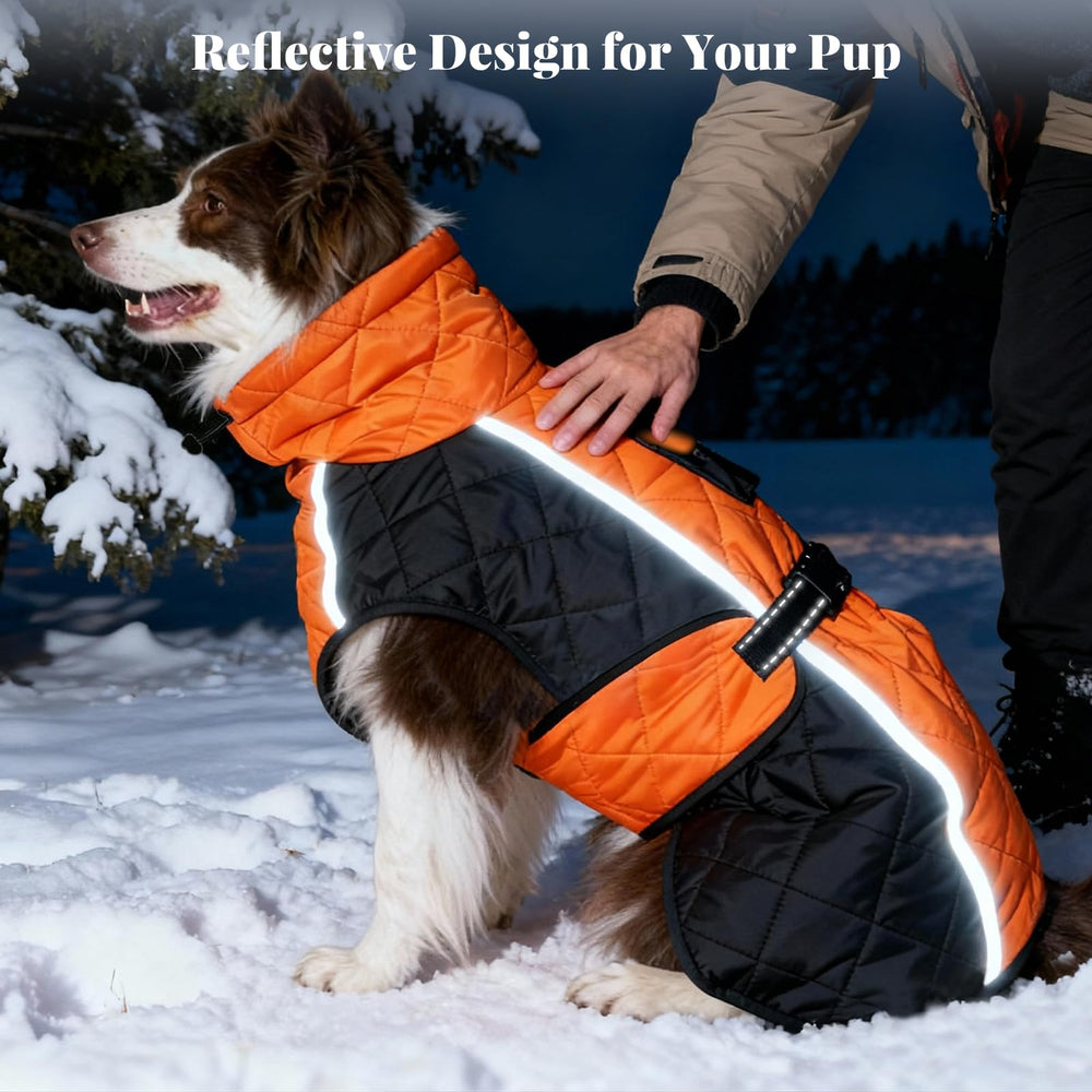 BECROWM dog coat plush-lined-collar blocks wind and adds comfort