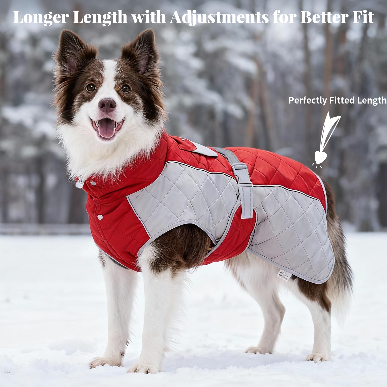 BECROWM dog coat quick-snap-neck-opening enables fast dressing