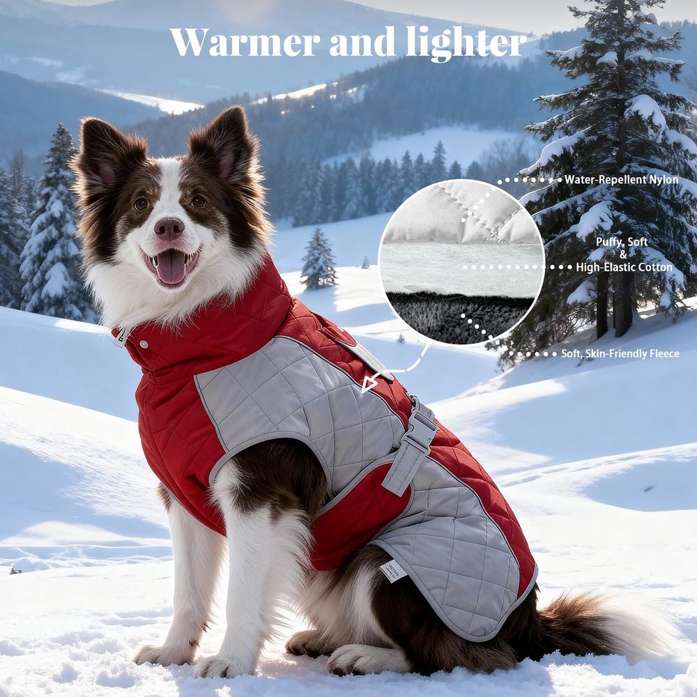 BECROWM dog coat reflective-piping boosts nighttime safety and visibility
