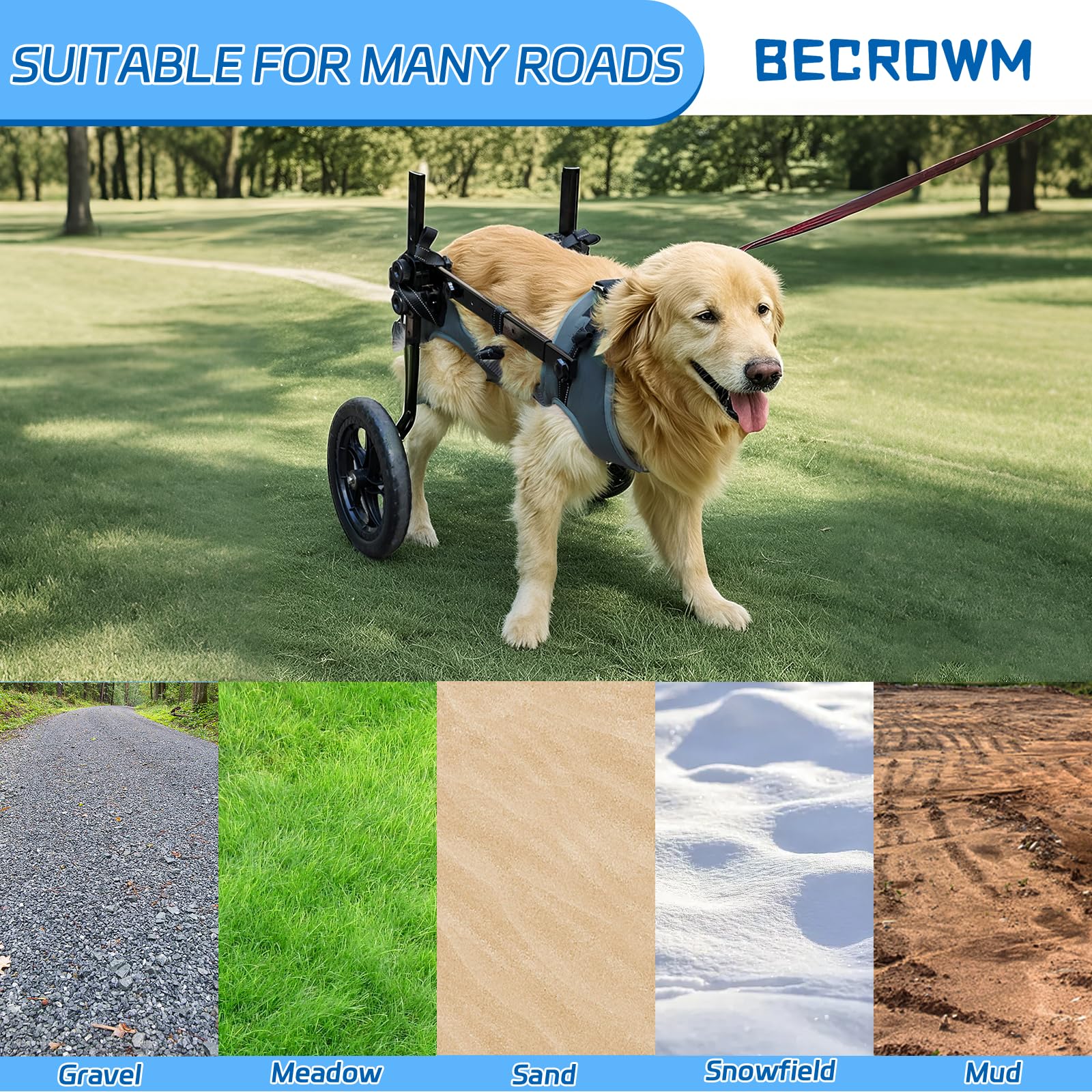BECROWM dog wheelchair adjustable height for a perfect fit and smooth strolls.