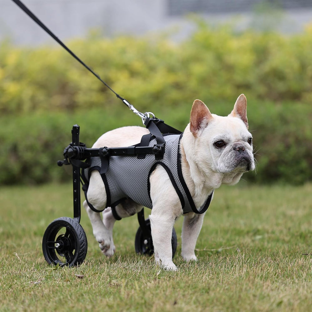 BECROWM dog wheelchair grey wheels close-up shows durable wheels for everyday use.