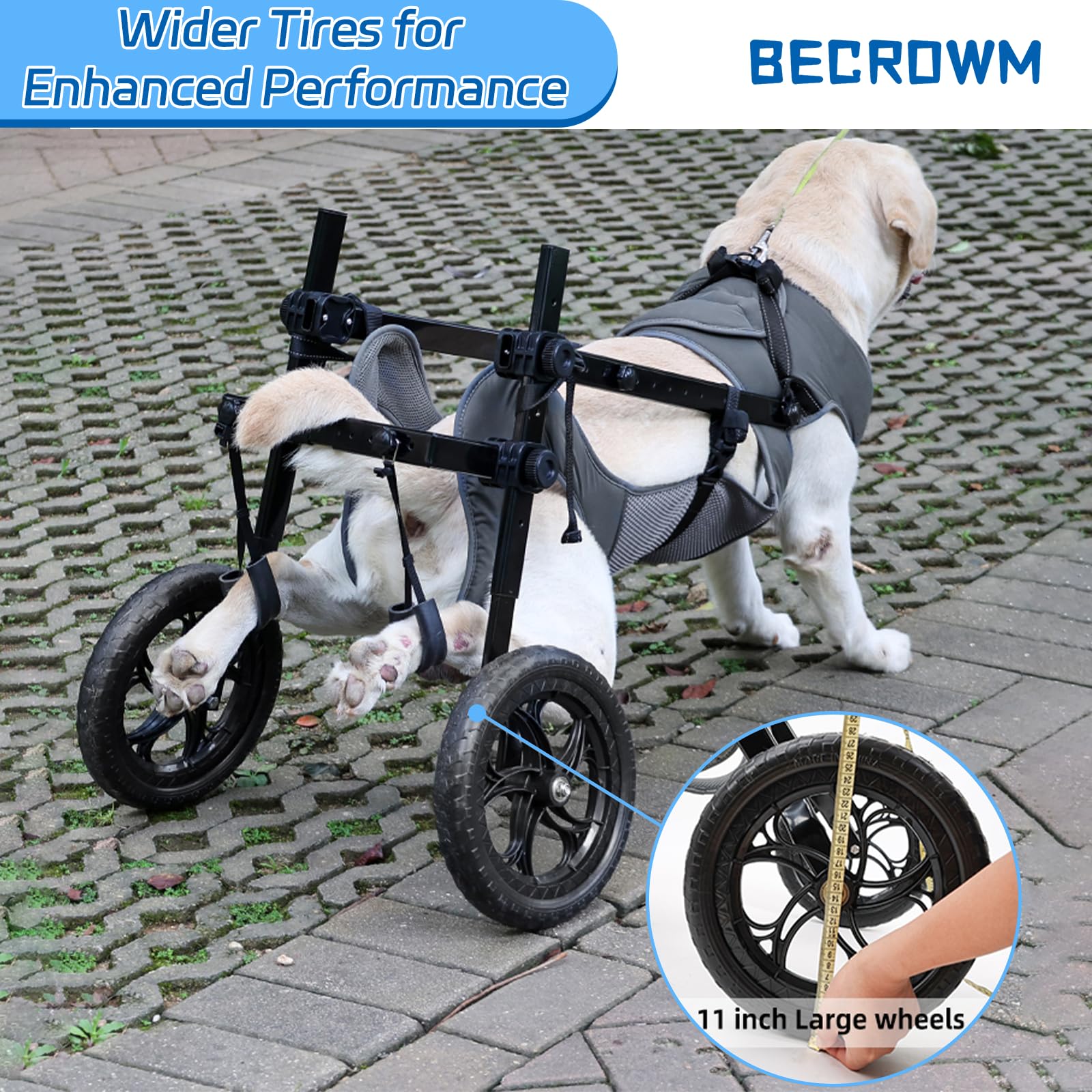 BECROWM dog wheelchair lightweight durable materials enable easy travel and quick setup.