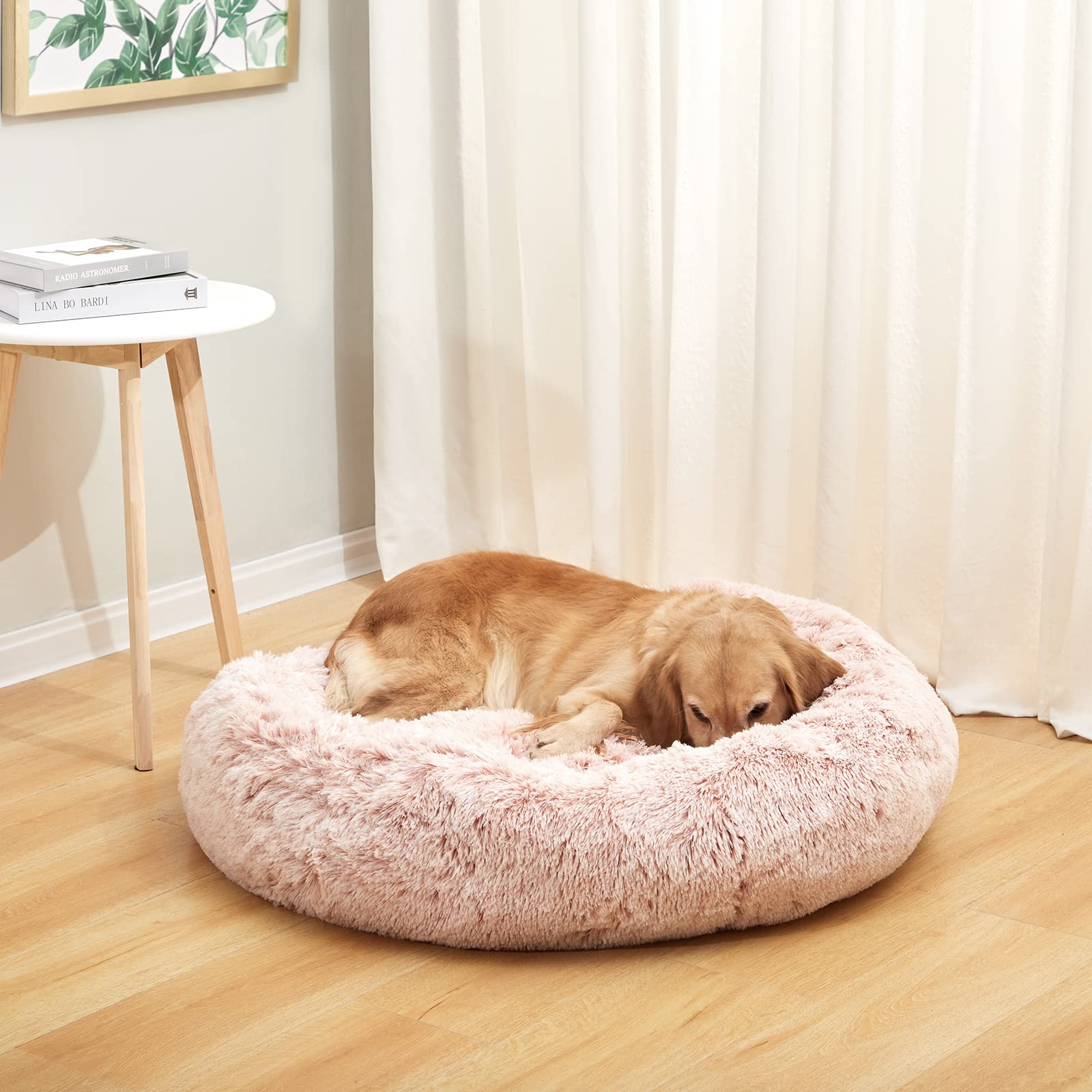 Bedfolks Calming Donut Dog Bed 36-inch diameter for larger dogs