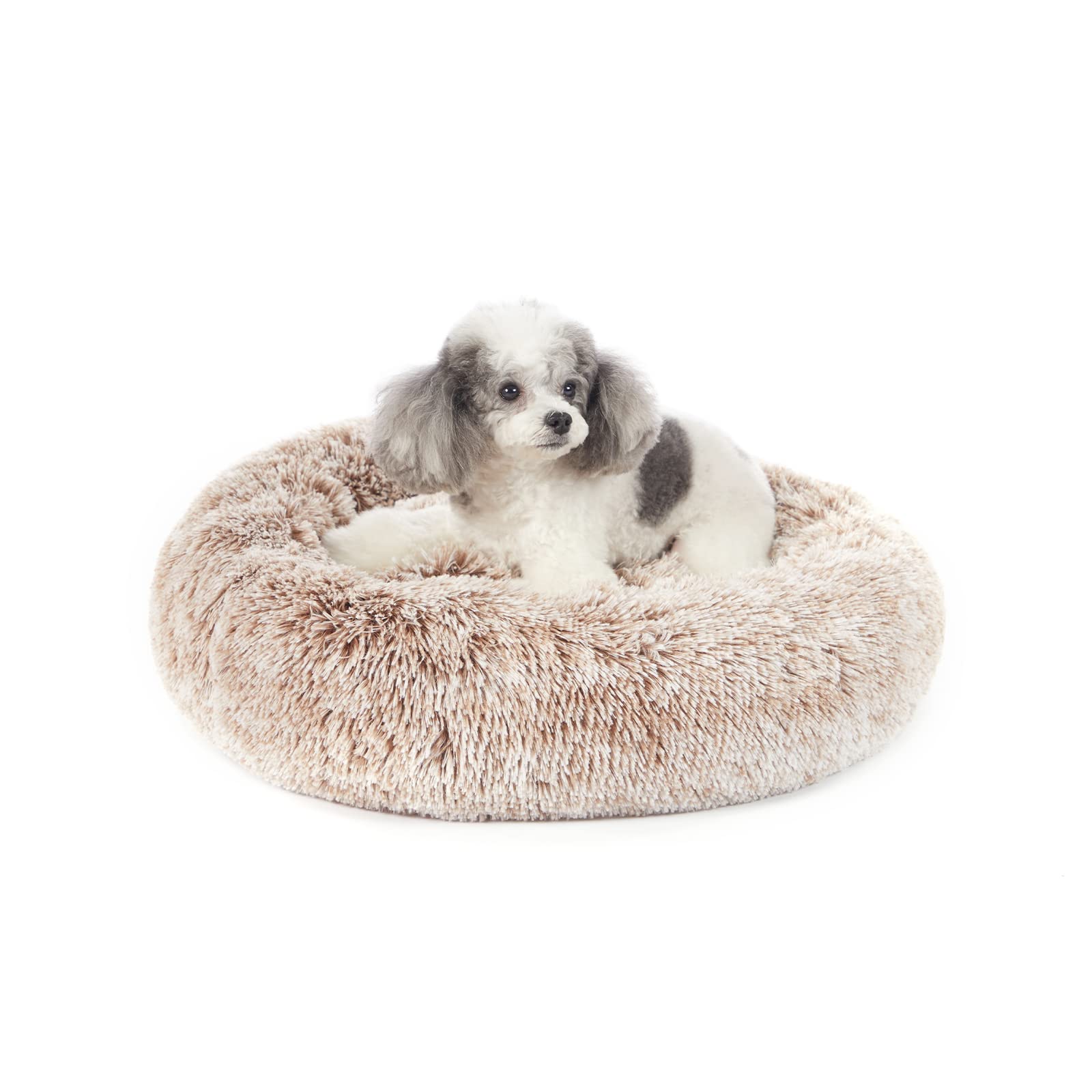 Bedfolks Calming Donut Dog Bed floor-view shows cozy round shape ideal for small dogs' cuddling