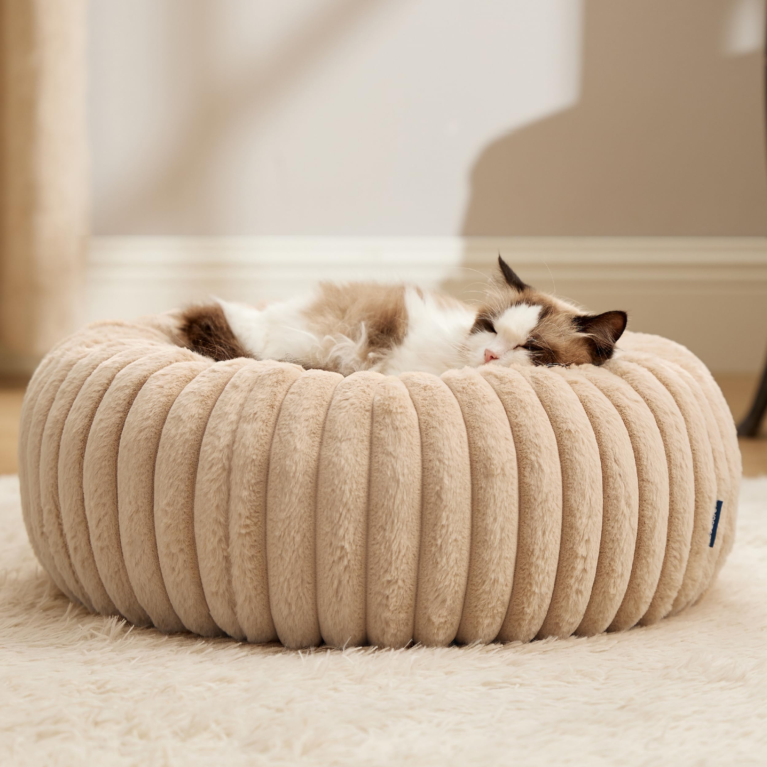 Bedsure cat bed lounging scene illustrates cozy nook for naps and cuddles.