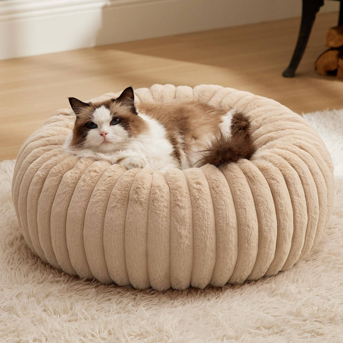 Bedsure cat bed sandy beige overview shows cozy comfort and supportive structure for restful naps.