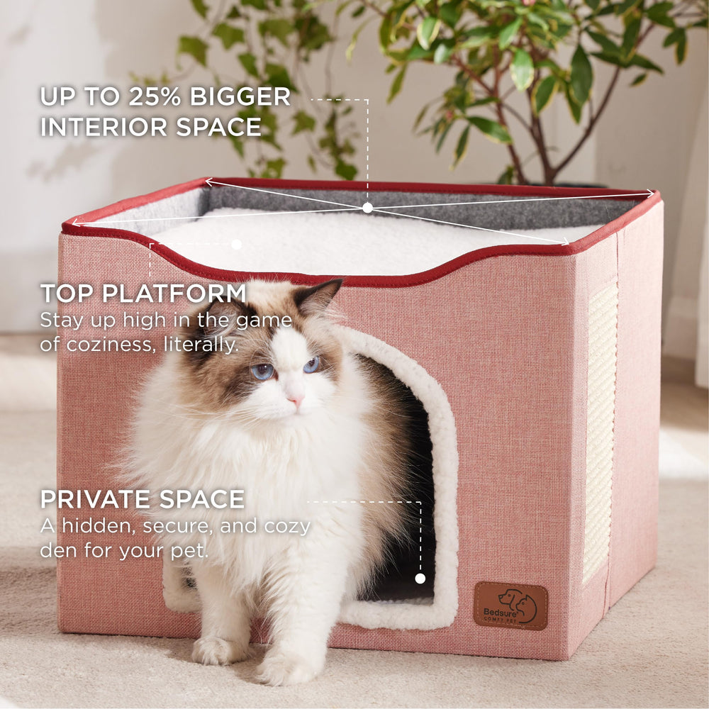 Bedsure cat bed top platform; window-view lounging and stretch space.