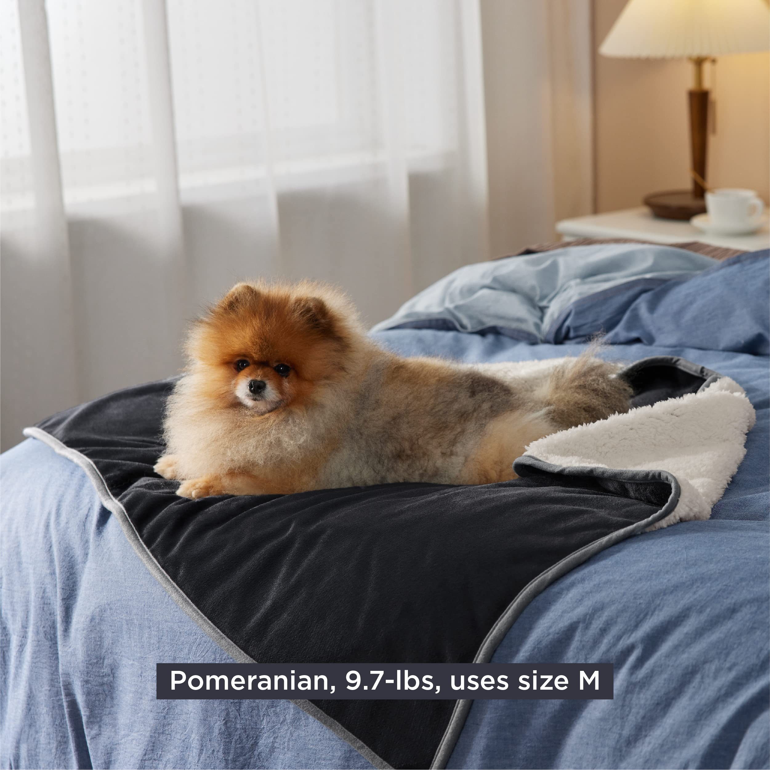Bedsure cat blanket-dog-cat-use image showcases versatile indoor pet lounging.