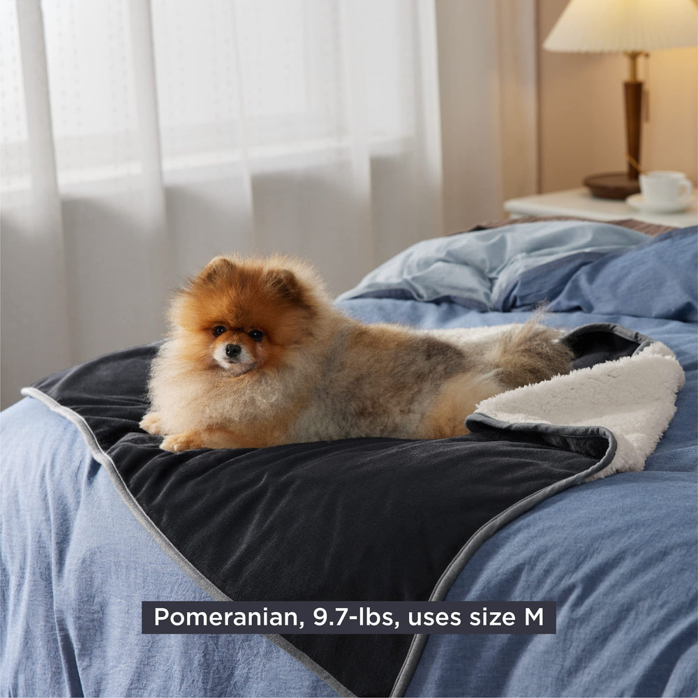 Bedsure cat blanket-dog-cat-use image showcases versatile indoor pet lounging.