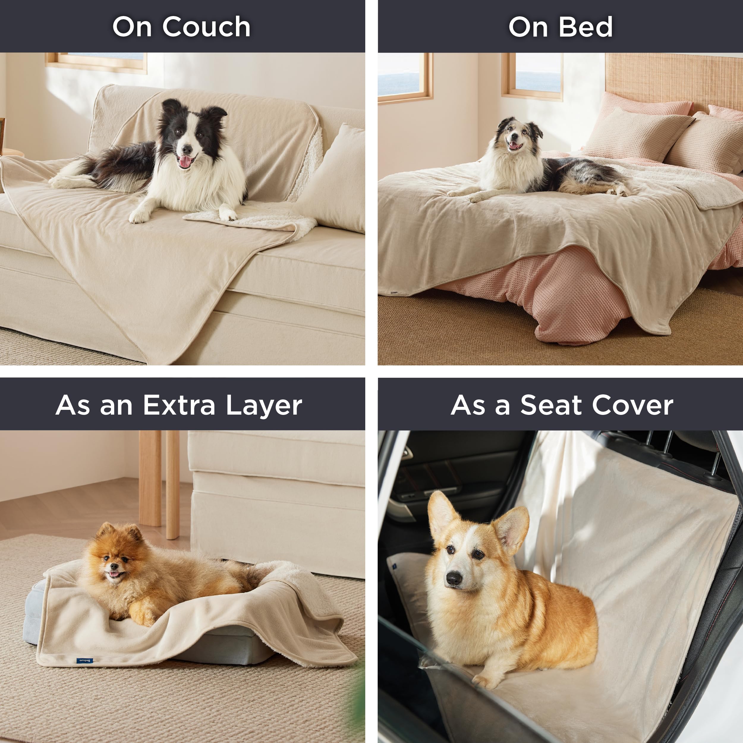 Bedsure cat blanket ideal for indoor cats at home.