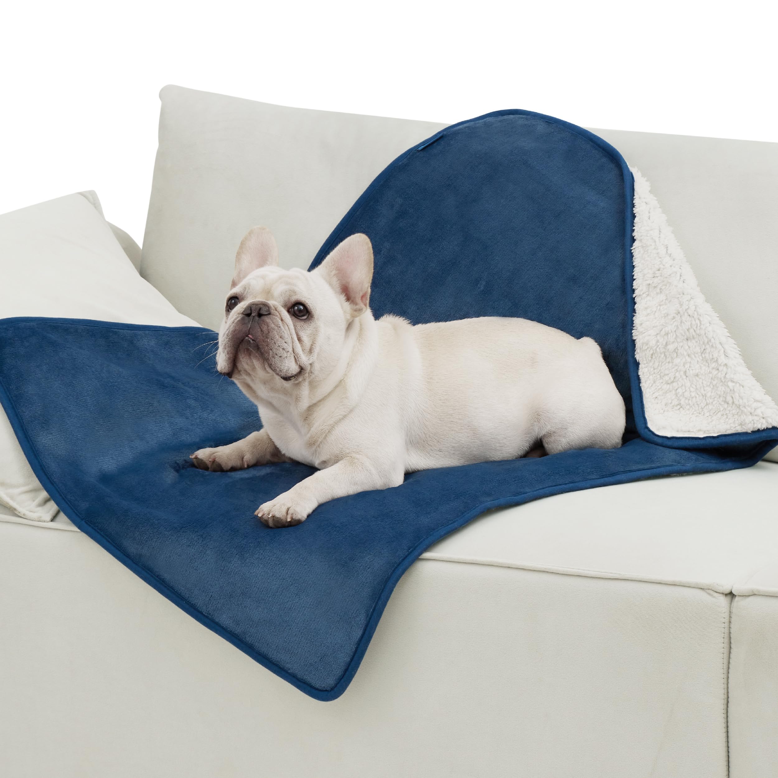Bedsure cat blanket waterproof closeup protects furniture from spills