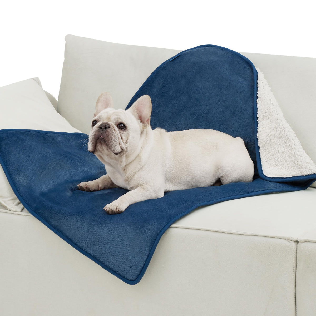 Bedsure cat blanket waterproof closeup protects furniture from spills