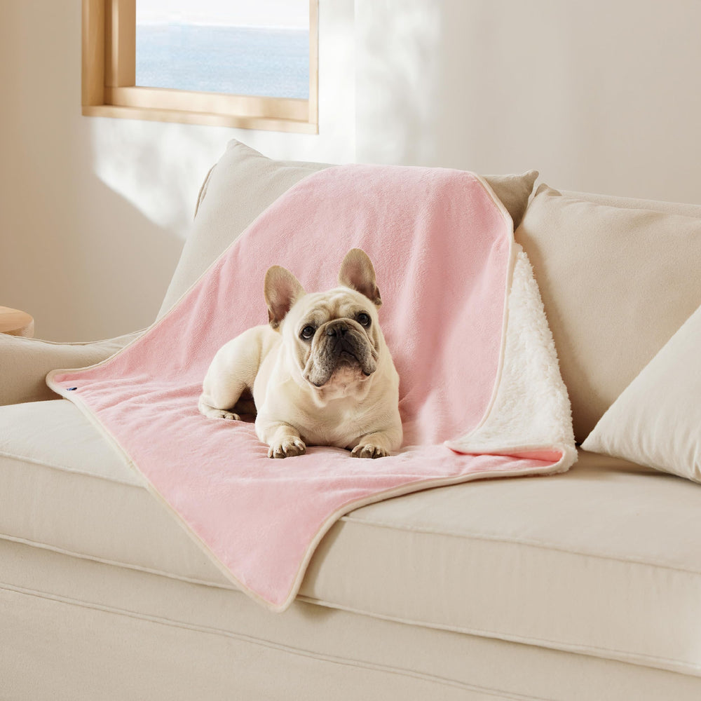 Bedsure cat blanket waterproof inner lining protects furniture from spills.