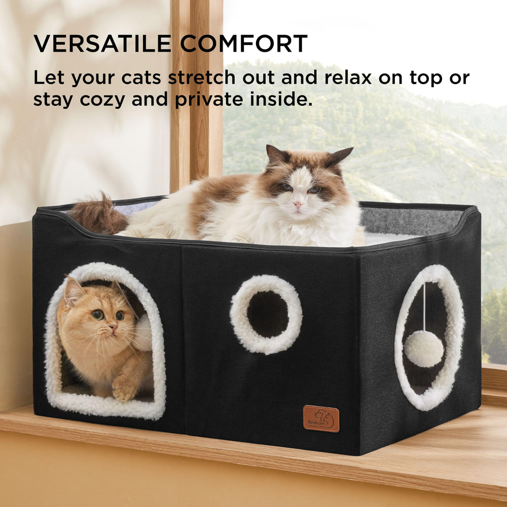 Bedsure cat cube side-entry with tunnel invites exploration and play