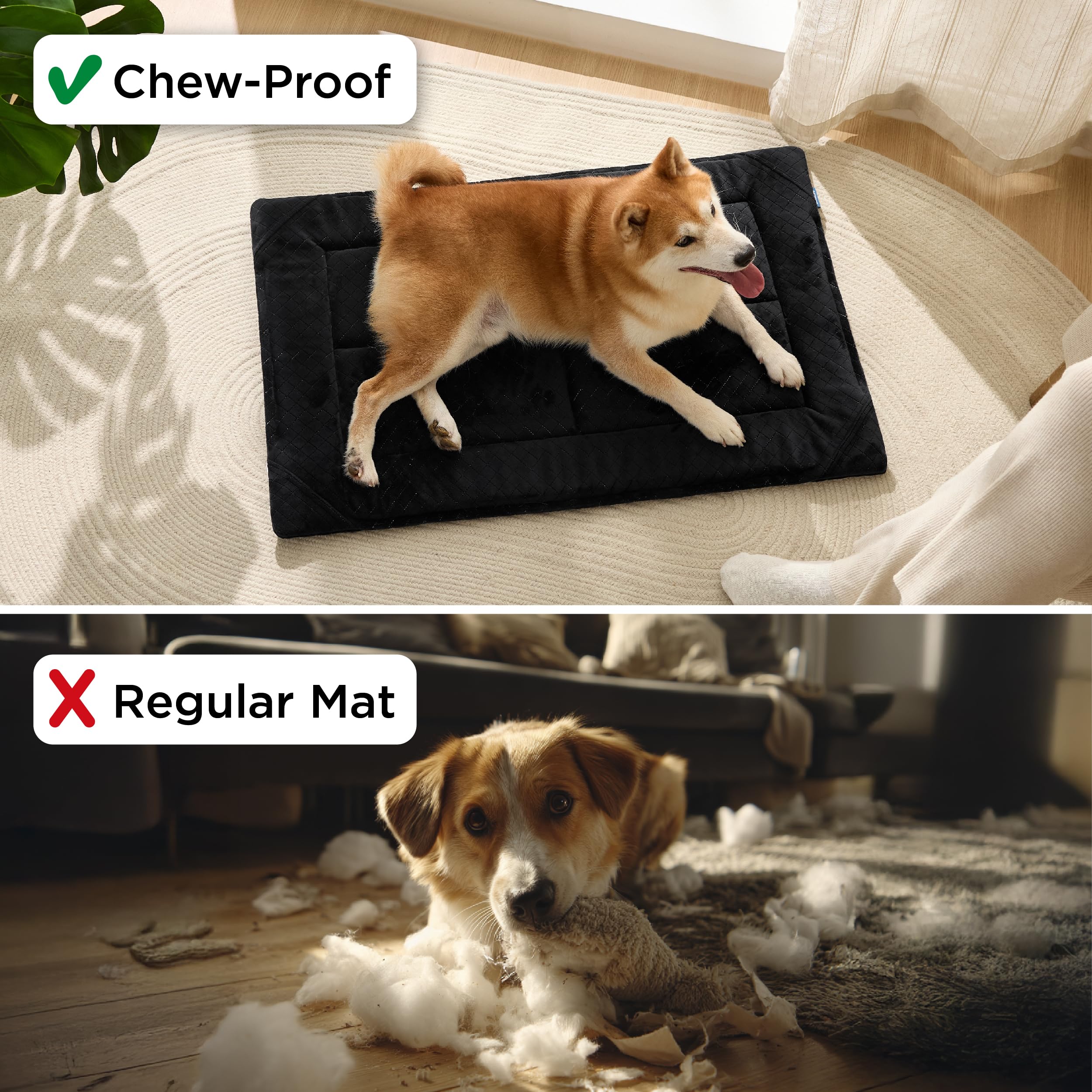 Bedsure chew-proof dog bed velvet soft top for lounging comfort