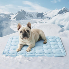 Bedsure cooling mat for medium dogs lying on a cool surface provides refreshing relief on warm days