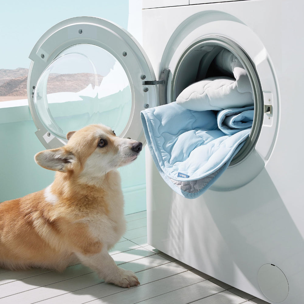 Bedsure 0.5 Q-Max cooling sheen comforts pets during hot afternoons