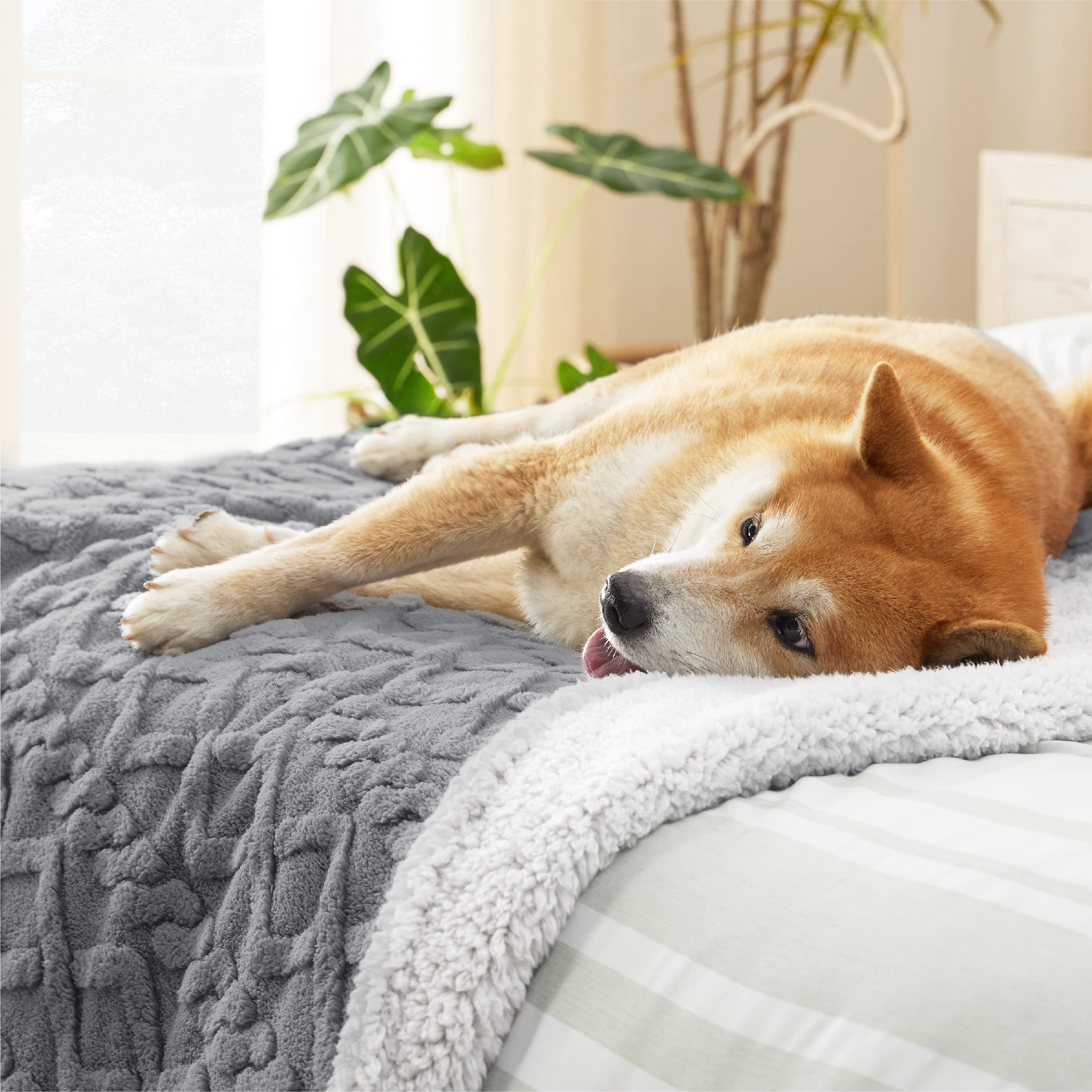 Bedsure couch protection blanket offers versatile use on sofa, bed, or travel.