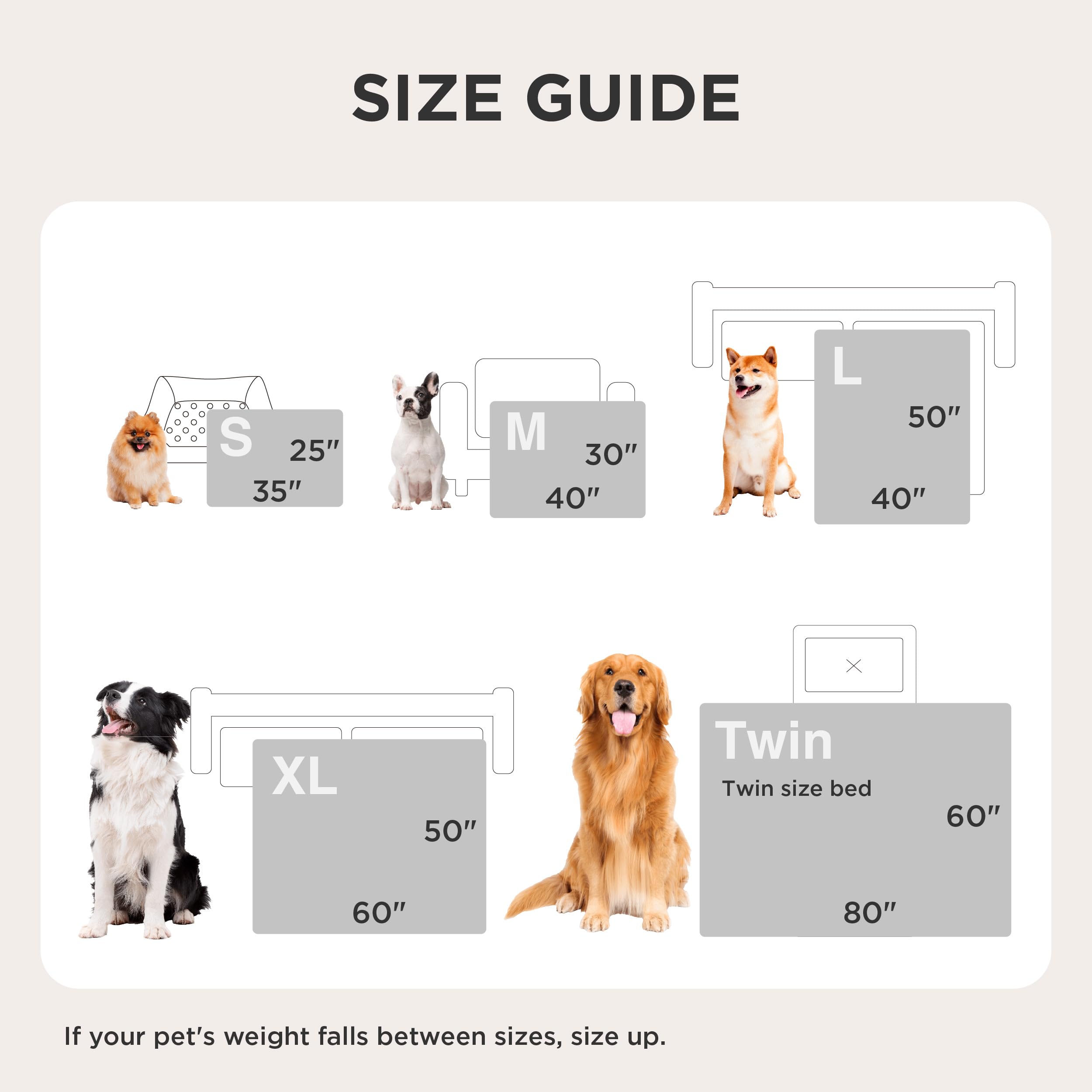 Bedsure couch-protection shot features large dog lounging comfortably on protected sofa.