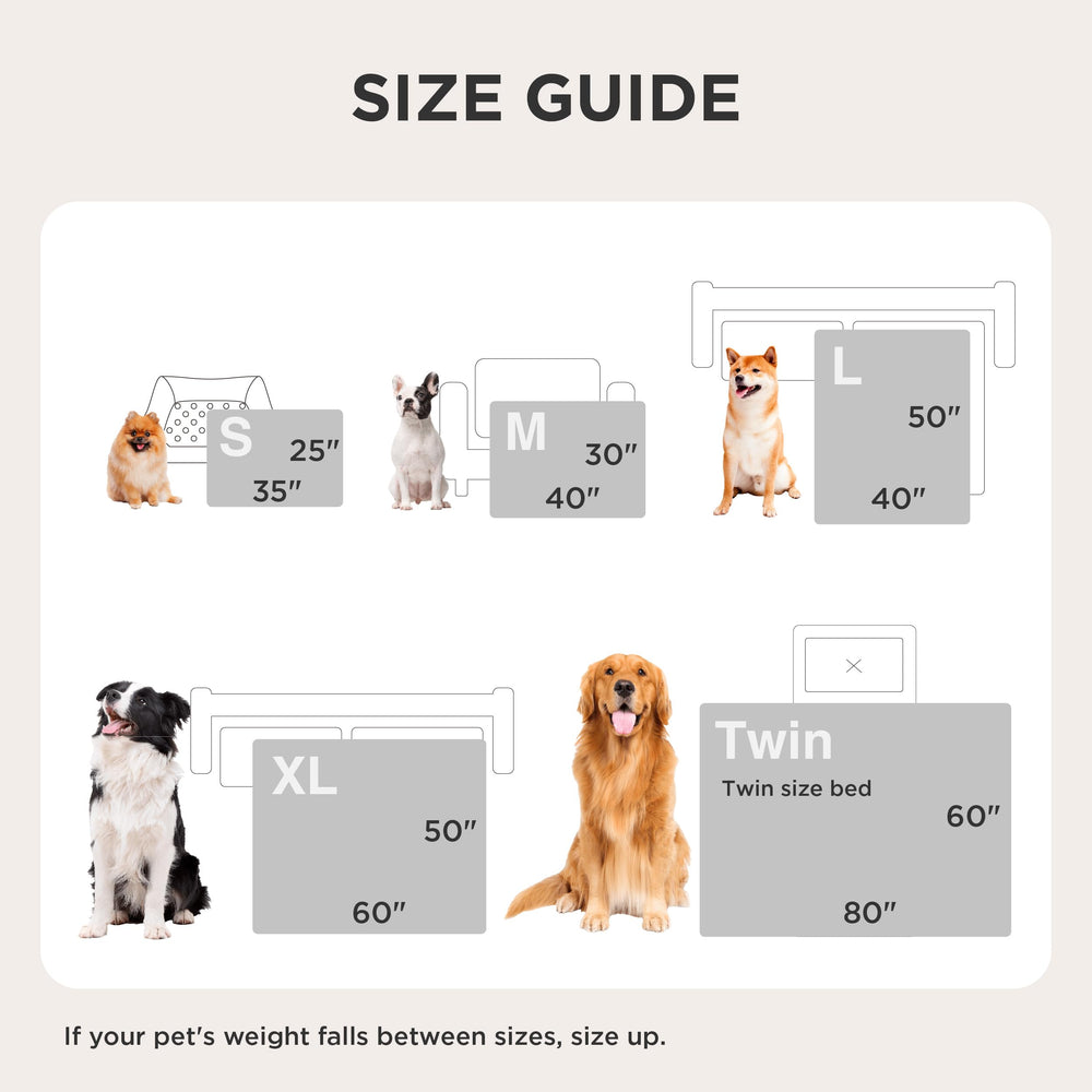 Bedsure couch-protection shot features large dog lounging comfortably on protected sofa.