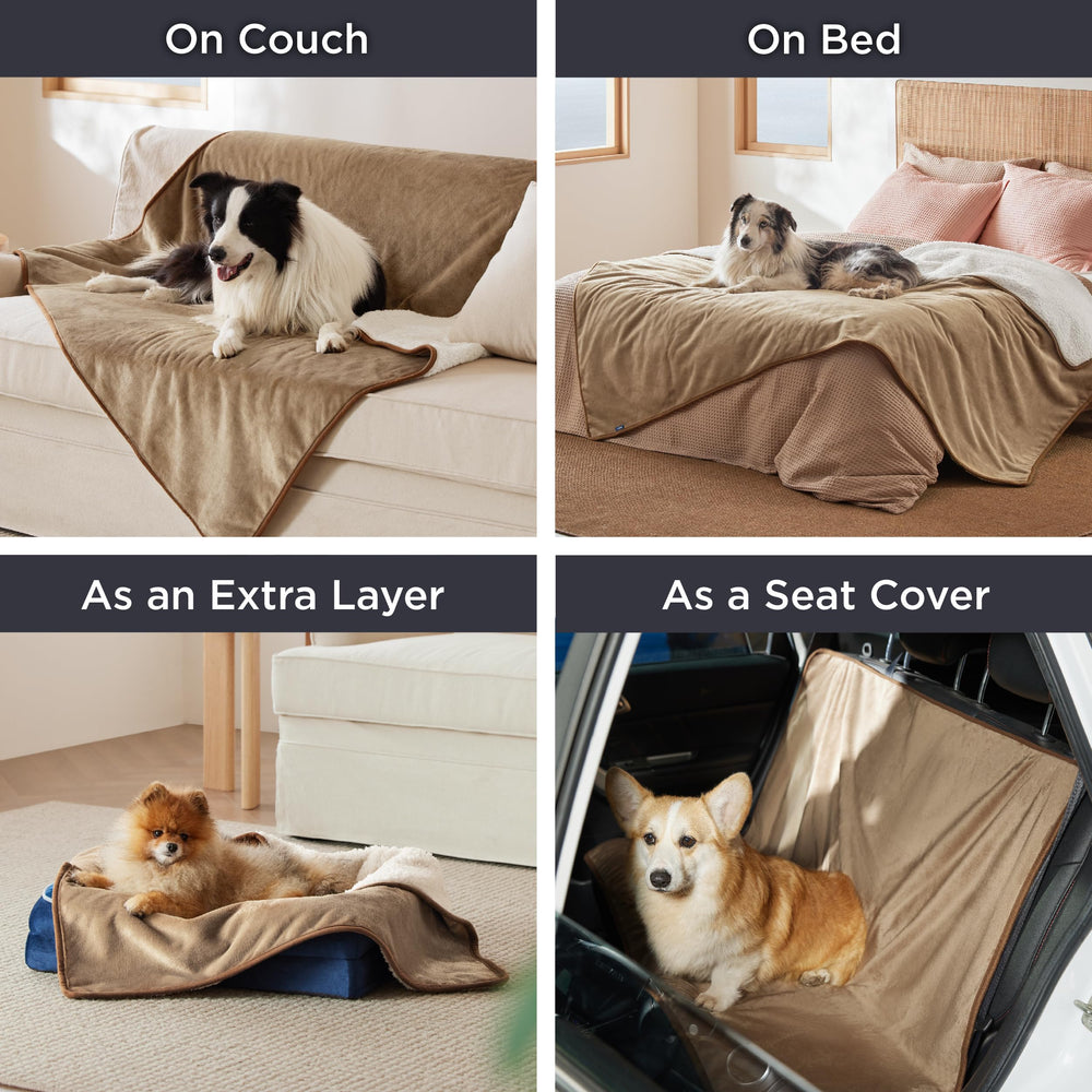 Bedsure couch protection waterproof membrane showing on the blanket