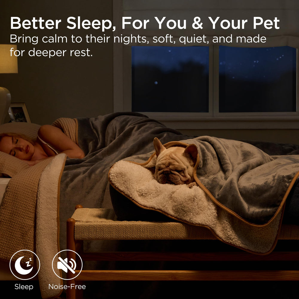 Bedsure couch-protector-pet-blanket guards furniture from pet hair and stains.