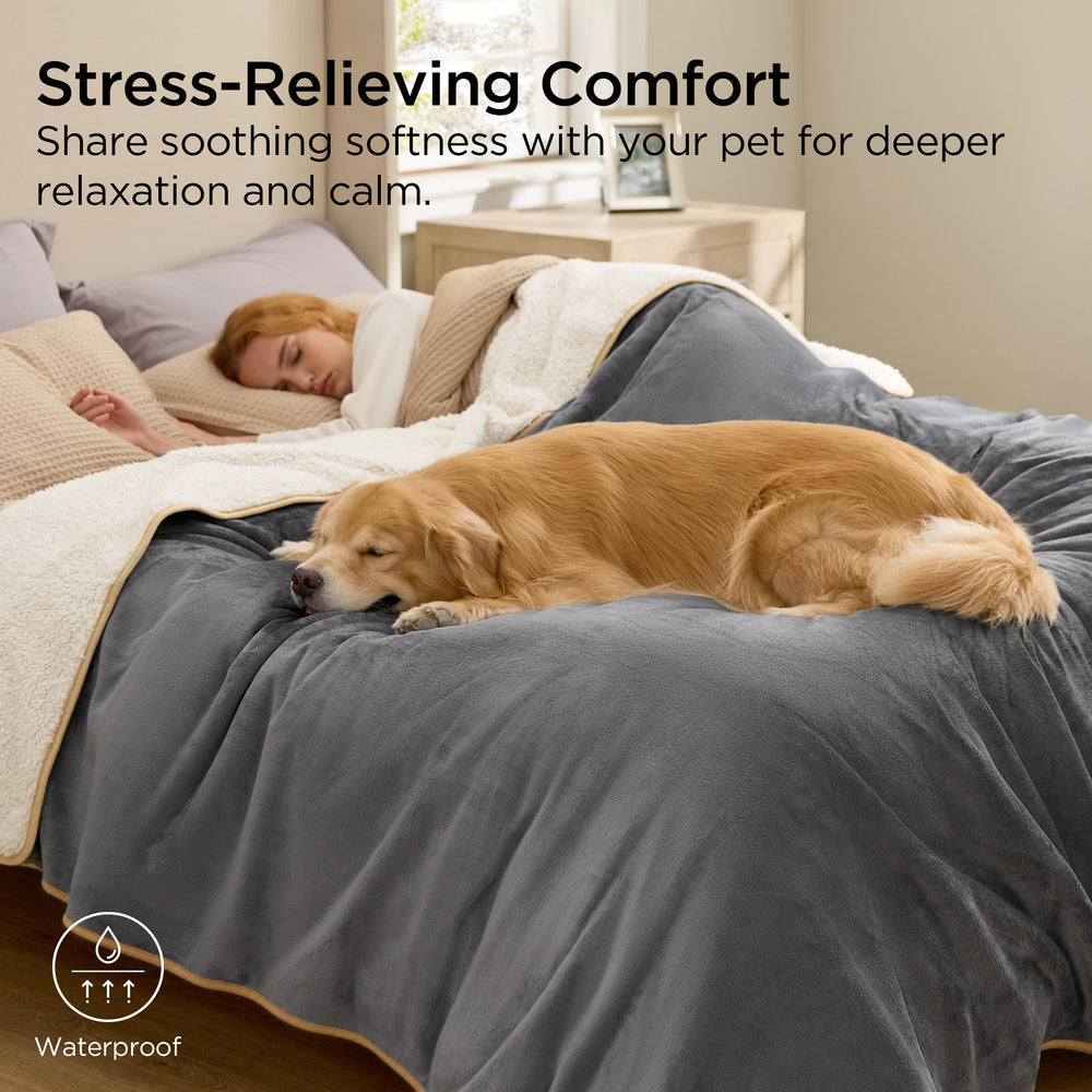 Bedsure couch protector guards against spills and pet hair.