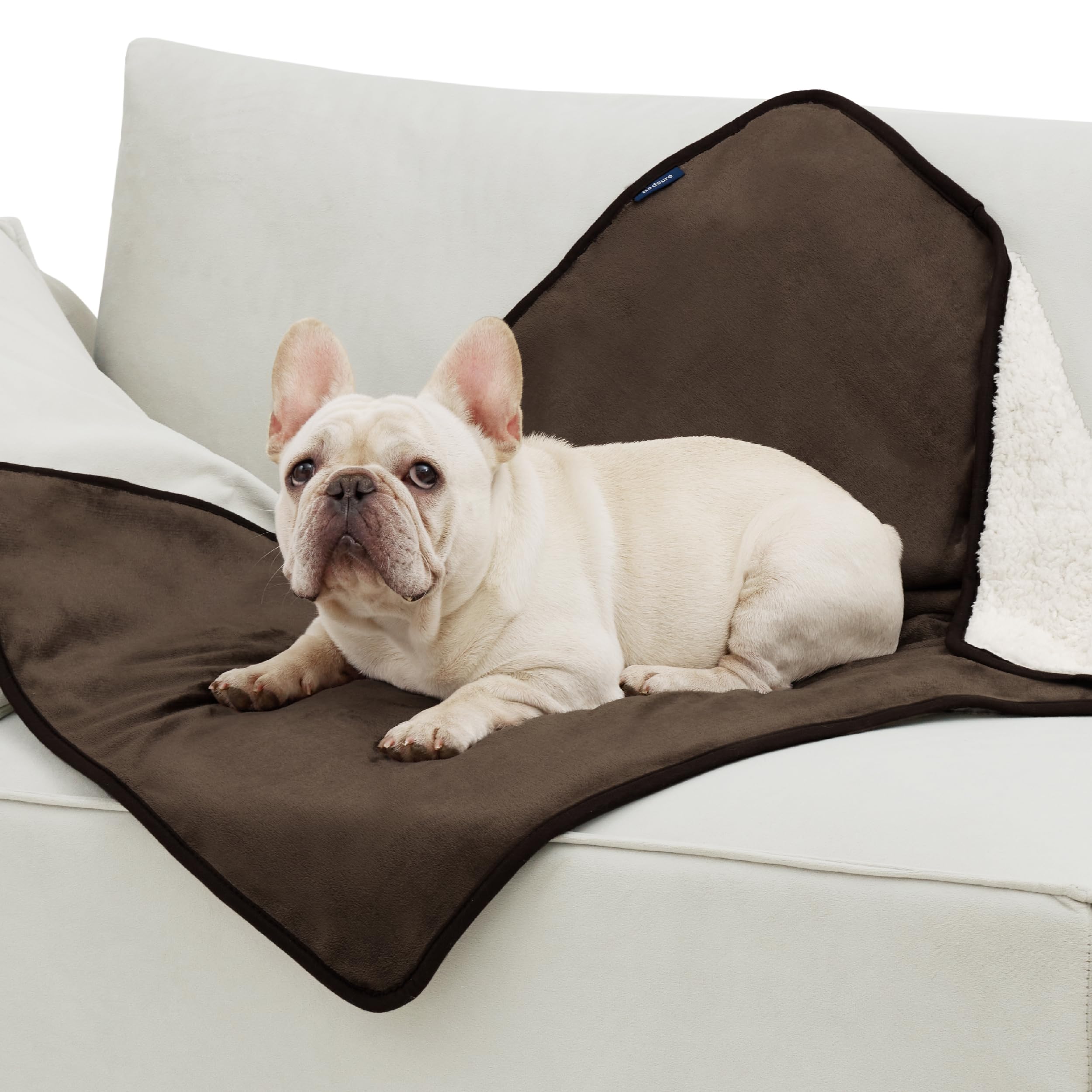Bedsure cozy blanket designed for medium dogs for daily use