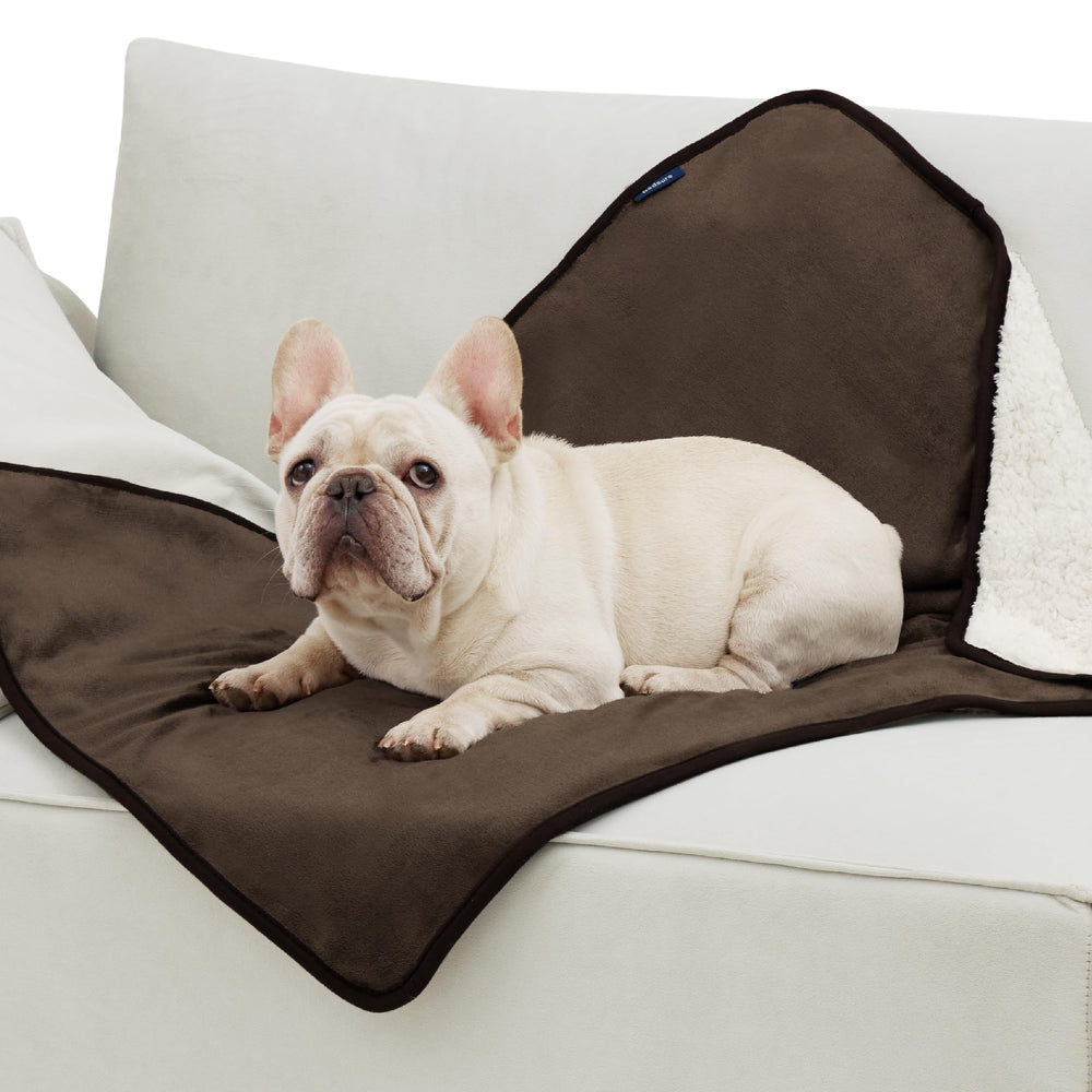 Bedsure cozy blanket designed for medium dogs for daily use