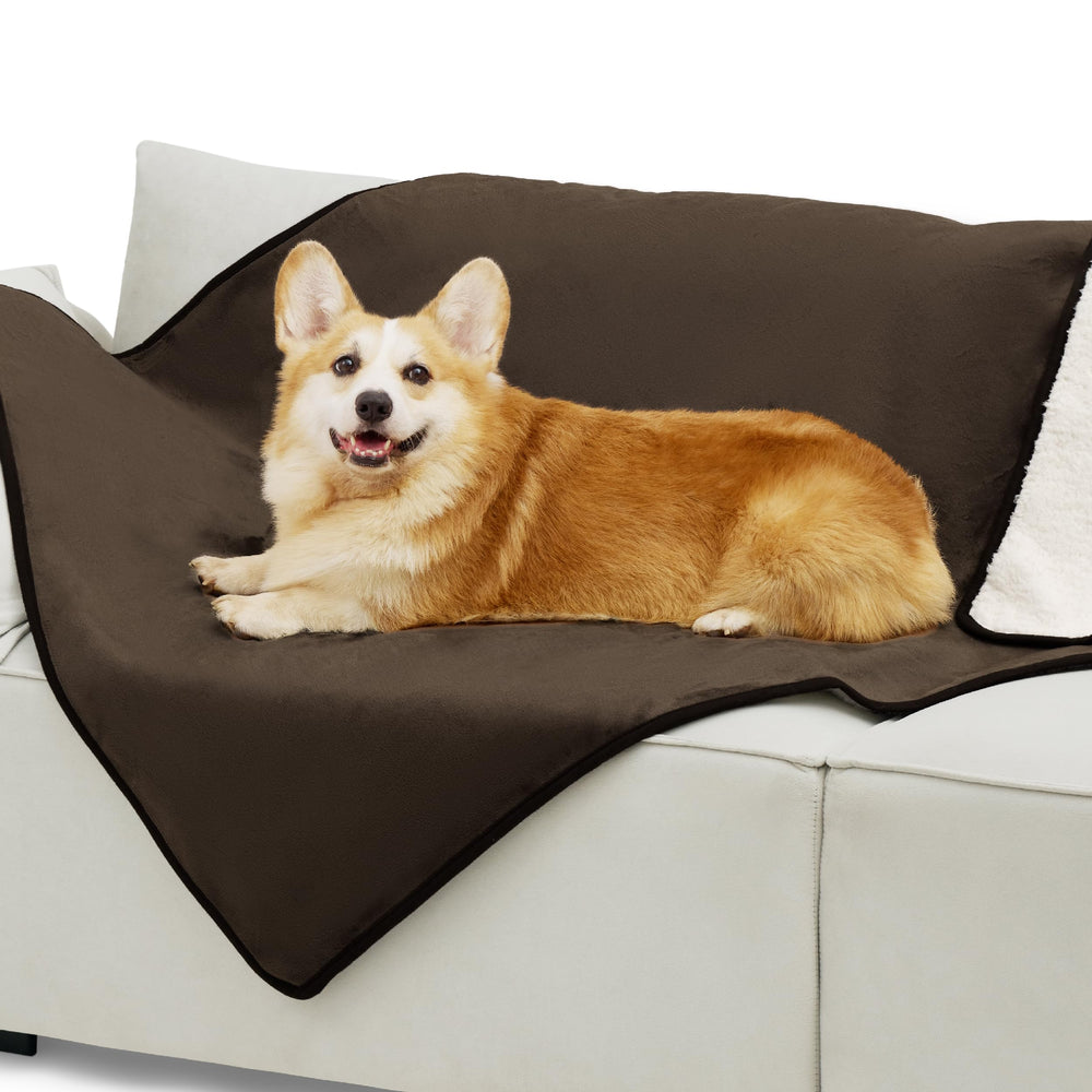 Bedsure cozy blanket in living room demonstrates easy care and comfort for pets.