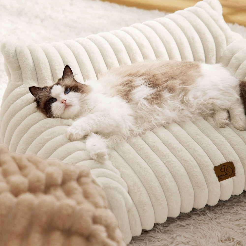 Bedsure cute cat couch dog-friendly setup suits small dogs and cats for restful lounging.