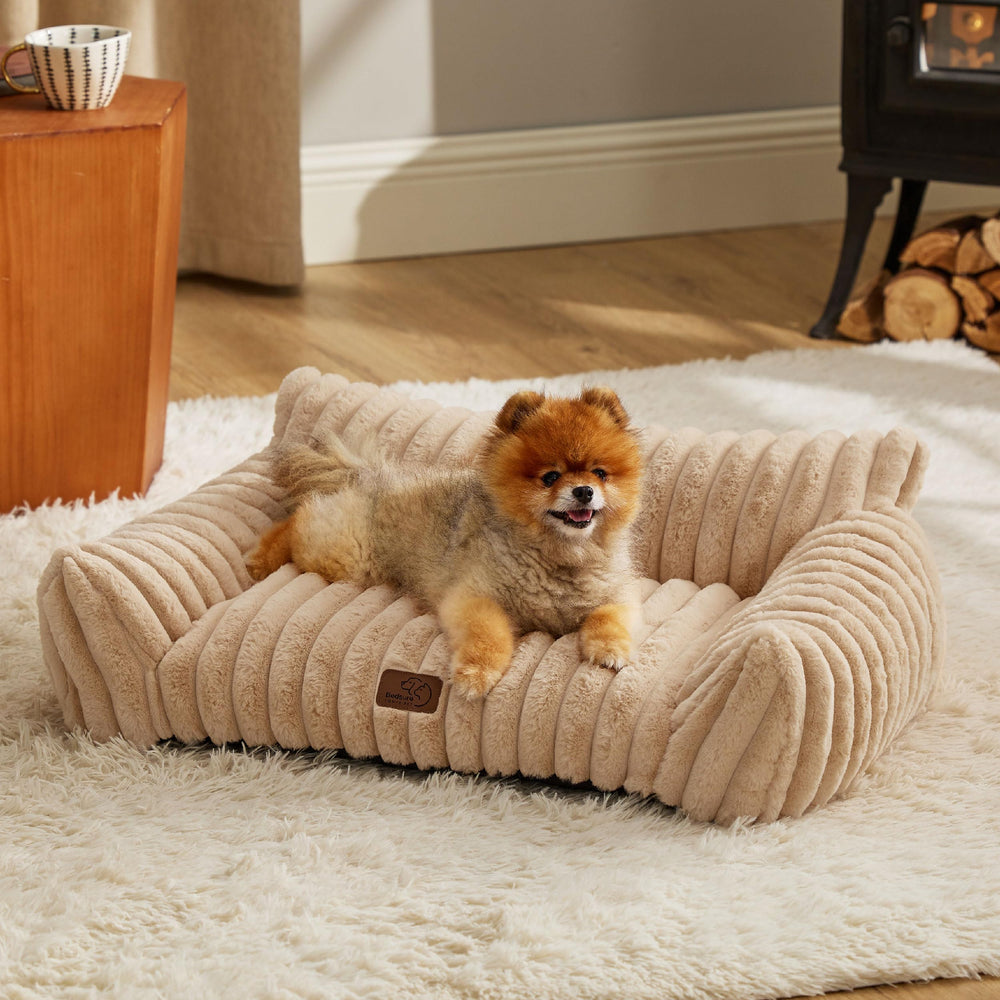 Bedsure cute cat couch with corduroy fleece offers cozy pet lounging.