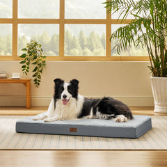 Bedsure dog bed large flat mattress view demonstrates spacious lounging and cozy settling.