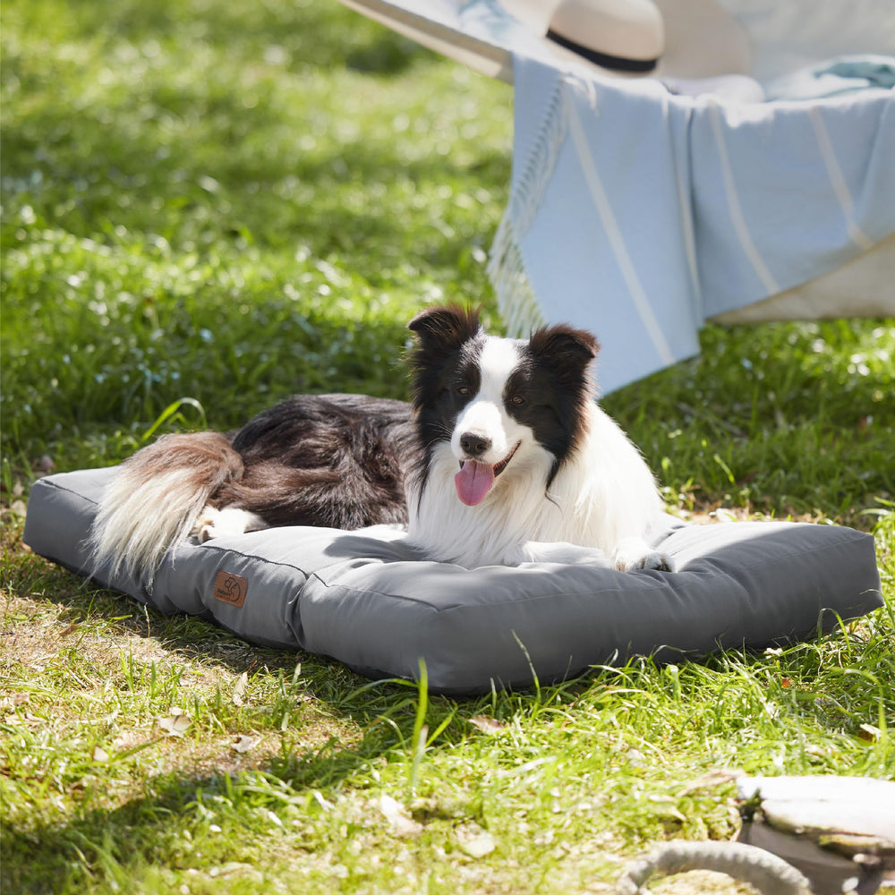 Bedsure dog bed available in three sizes