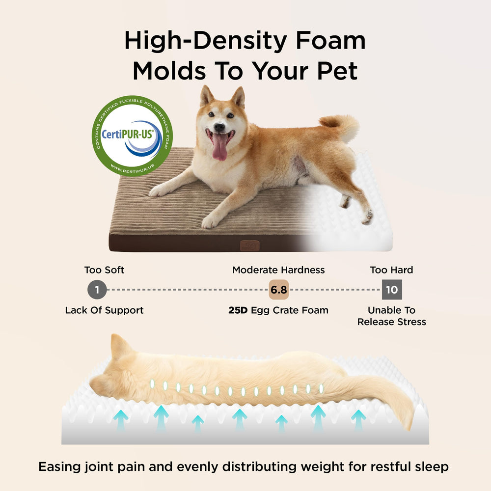 Bedsure dog bed medium anti-slip base secures bed on various surfaces